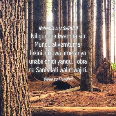 Picture 04 - Nehemia 6:12 SWHULB - Niligundua kwamba sio Mungu aliyemtuma, lakini - Bible Verse Picture