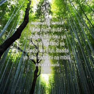 Picture 04 - Nehemia 6:15 SWHULB - Kwa hiyo ukuta ukamalizika siku ya ishirini na - Bible Verse Picture
