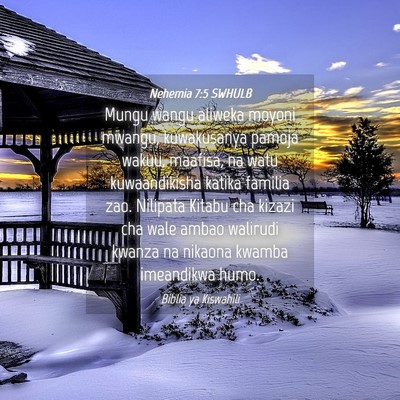 Picture 04 - Nehemia 7:5 SWHULB - Mungu wangu aliweka moyoni mwangu, kuwakusanya - Bible Verse Picture