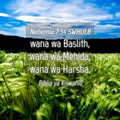 Picture 04 - Nehemia 7:54 SWHULB - wana wa Baslith, wana wa Mehida, wana wa - Bible Verse Picture