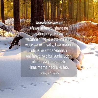 Picture 04 - Nehemia 9:10 SWHULB - Wewe ulifanya ishara na maajabu juu ya Farao, na - Bible Verse Picture
