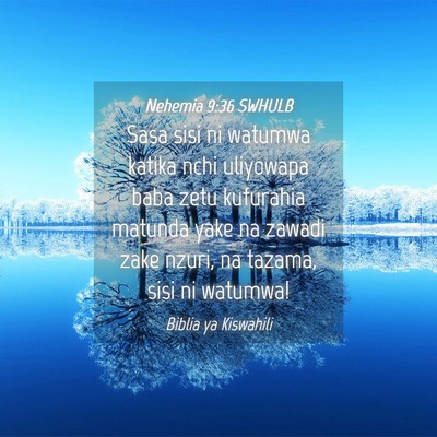 Picture 04 - Nehemia 9:36 SWHULB - Sasa sisi ni watumwa katika nchi uliyowapa baba - Bible Verse Picture