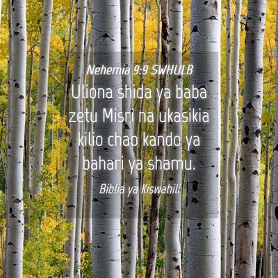 Picture 04 - Nehemia 9:9 SWHULB - Uliona shida ya baba zetu Misri na ukasikia kilio - Bible Verse Picture
