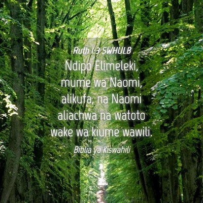 Picture 04 - Ruth 1:3 SWHULB - Ndipo Elimeleki, mume wa Naomi, alikufa, na Naomi - Bible Verse Picture