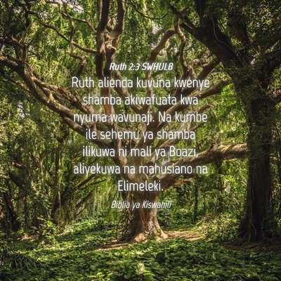 Picture 04 - Ruth 2:3 SWHULB - Ruth alienda kuvuna kwenye shamba akiwafuata kwa - Bible Verse Picture