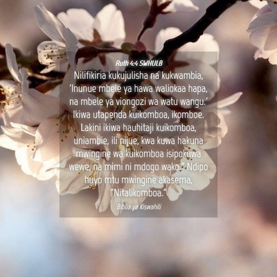Picture 04 - Ruth 4:4 SWHULB - Nilifikiria kukujulisha na kukwambia, 'Inunue - Bible Verse Picture