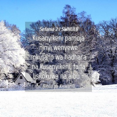 Picture 04 - Sefania 2:1 SWHULB - Kusanyikeni pamoja ninyi wenyewe mkutano wa - Bible Verse Picture