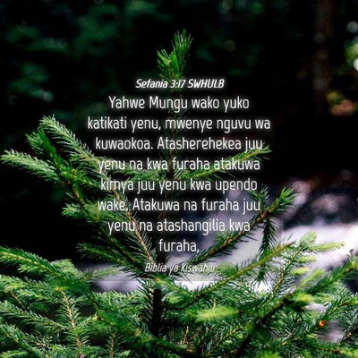 Picture 04 - Sefania 3:17 SWHULB - Yahwe Mungu wako yuko katikati yenu, mwenye nguvu - Bible Verse Picture