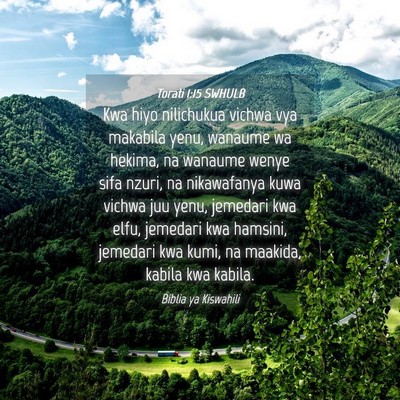 Picture 04 - Torati 1:15 SWHULB - Kwa hiyo nilichukua vichwa vya makabila yenu, - Bible Verse Picture