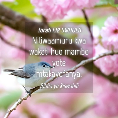 Picture 04 - Torati 1:18 SWHULB - Niliwaamuru kwa wakati huo mambo yote - Bible Verse Picture