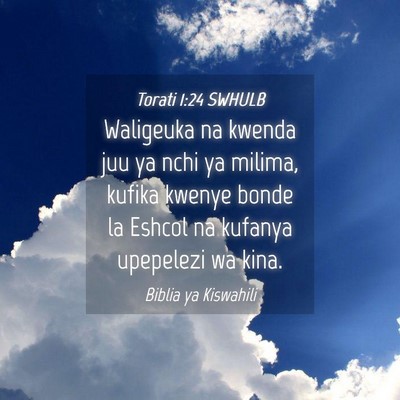 Picture 04 - Torati 1:24 SWHULB - Waligeuka na kwenda juu ya nchi ya milima, kufika - Bible Verse Picture