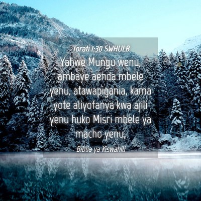 Picture 04 - Torati 1:30 SWHULB - Yahwe Mungu wenu, ambaye aenda mbele yenu, - Bible Verse Picture