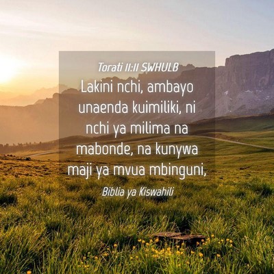 Picture 04 - Torati 11:11 SWHULB - Lakini nchi, ambayo unaenda kuimiliki, ni nchi ya - Bible Verse Picture