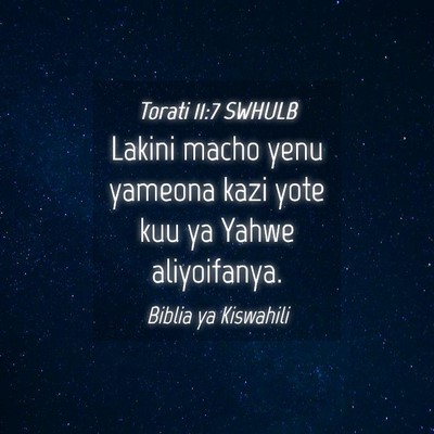Picture 04 - Torati 11:7 SWHULB - Lakini macho yenu yameona kazi yote kuu ya Yahwe - Bible Verse Picture