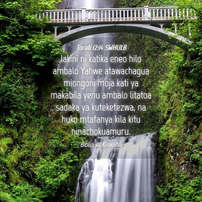 Picture 04 - Torati 12:14 SWHULB - lakini ni katika eneo hilo ambalo Yahwe - Bible Verse Picture