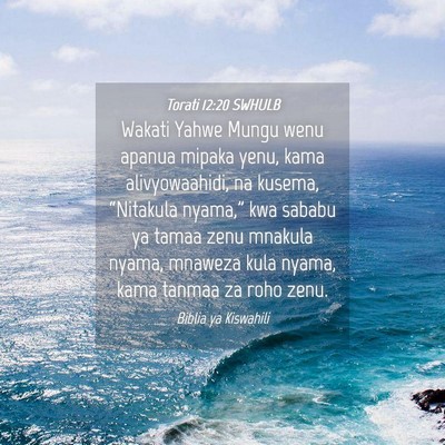 Picture 04 - Torati 12:20 SWHULB - Wakati Yahwe Mungu wenu apanua mipaka yenu, kama - Bible Verse Picture