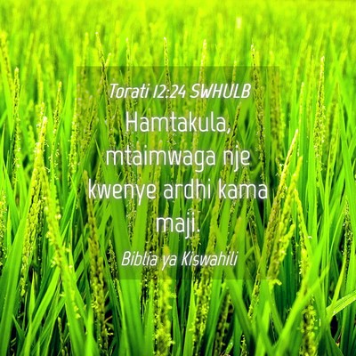 Picture 04 - Torati 12:24 SWHULB - Hamtakula, mtaimwaga nje kwenye ardhi kama - Bible Verse Picture