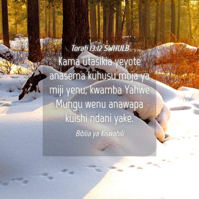 Picture 04 - Torati 13:12 SWHULB - Kama utasikia yeyote anasema kuhusu moja ya miji - Bible Verse Picture