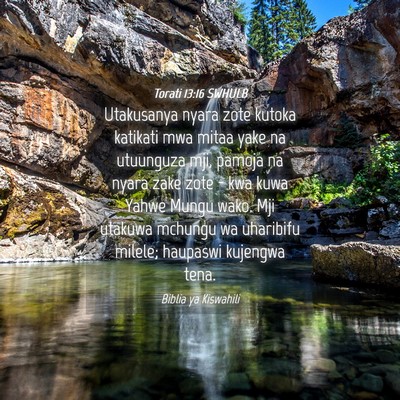 Picture 04 - Torati 13:16 SWHULB - Utakusanya nyara zote kutoka katikati mwa mitaa - Bible Verse Picture