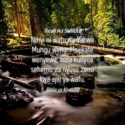 Picture 04 - Torati 14:1 SWHULB - Ninyi ni watu wa Yahwe Mungu wenu. Msijikate - Bible Verse Picture