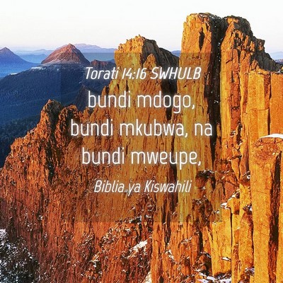 Picture 04 - Torati 14:16 SWHULB - bundi mdogo, bundi mkubwa, na bundi - Bible Verse Picture