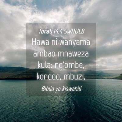 Picture 04 - Torati 14:4 SWHULB - Hawa ni wanyama ambao mnaweza kula: ng'ombe, - Bible Verse Picture