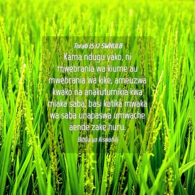Picture 04 - Torati 15:12 SWHULB - Kama ndugu yako, ni mwebrania wa kiume au - Bible Verse Picture