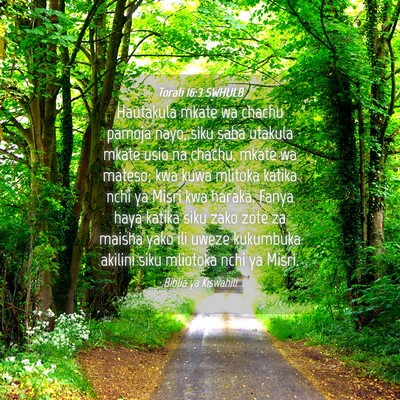 Picture 04 - Torati 16:3 SWHULB - Hautakula mkate wa chachu pamoja nayo, siku saba - Bible Verse Picture