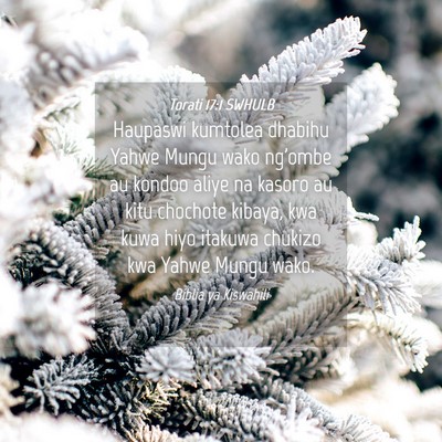 Picture 04 - Torati 17:1 SWHULB - Haupaswi kumtolea dhabihu Yahwe Mungu wako - Bible Verse Picture