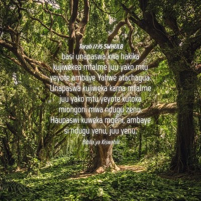 Picture 04 - Torati 17:15 SWHULB - basi unapaswa kwa hakika kujiwekea mfalme juu - Bible Verse Picture