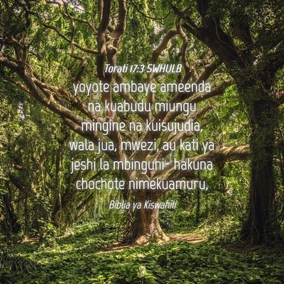 Picture 04 - Torati 17:3 SWHULB - yoyote ambaye ameenda na kuabudu miungu mingine - Bible Verse Picture