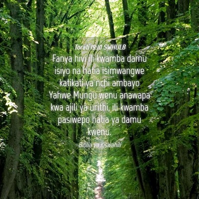 Picture 04 - Torati 19:10 SWHULB - Fanya hivi ili kwamba damu isiyo na hatia - Bible Verse Picture