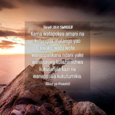 Picture 04 - Torati 20:11 SWHULB - Kama watapokea amani na kufungua malango yao - Bible Verse Picture