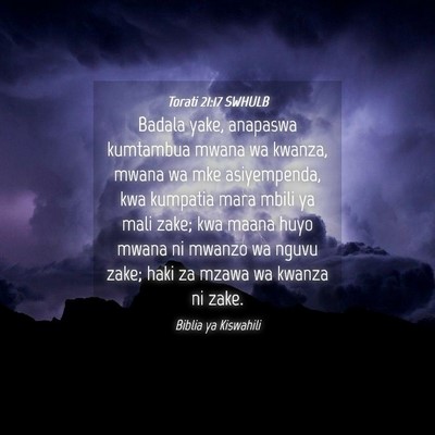 Picture 04 - Torati 21:17 SWHULB - Badala yake, anapaswa kumtambua mwana wa kwanza, - Bible Verse Picture