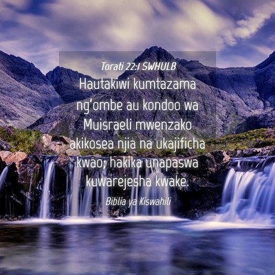 Picture 04 - Torati 22:1 SWHULB - Hautakiwi kumtazama ng’ombe au kondoo wa - Bible Verse Picture