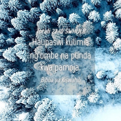 Picture 04 - Torati 22:10 SWHULB - Haupaswi kulimia ng’ombe na punda kwa - Bible Verse Picture