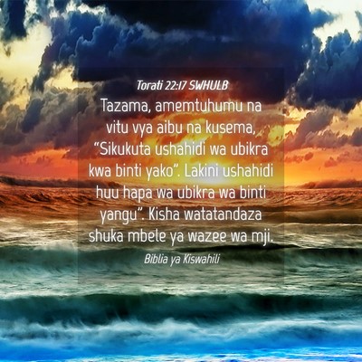 Picture 04 - Torati 22:17 SWHULB - Tazama, amemtuhumu na vitu vya aibu na kusema, - Bible Verse Picture