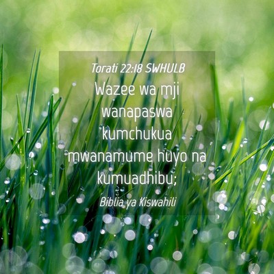 Picture 04 - Torati 22:18 SWHULB - Wazee wa mji wanapaswa kumchukua mwanamume huyo - Bible Verse Picture