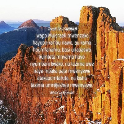 Picture 04 - Torati 22:2 SWHULB - Iwapo Muisraeli mwenzako hayupo karibu nawe, au - Bible Verse Picture