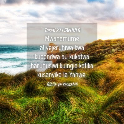 Picture 04 - Torati 23:1 SWHULB - Mwanamume aliyejeruhiwa kwa kupondwa au kukatwa - Bible Verse Picture