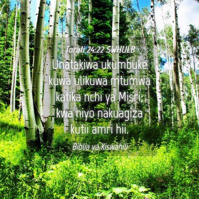 Picture 04 - Torati 24:22 SWHULB - Unatakiwa ukumbuke kuwa ulikuwa mtumwa katika - Bible Verse Picture