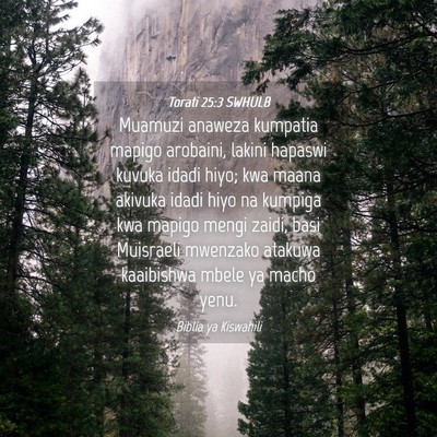Picture 04 - Torati 25:3 SWHULB - Muamuzi anaweza kumpatia mapigo arobaini, lakini - Bible Verse Picture