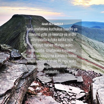 Picture 04 - Torati 26:2 SWHULB - basi unatakiwa kuchukua baadhi ya mavuno yote ya - Bible Verse Picture