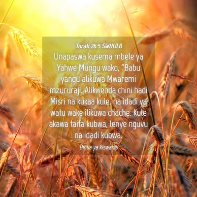 Picture 04 - Torati 26:5 SWHULB - Unapaswa kusema mbele ya Yahwe Mungu wako, - Bible Verse Picture