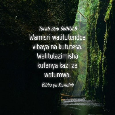 Picture 04 - Torati 26:6 SWHULB - Wamisri walitutendea vibaya na kututesa. - Bible Verse Picture