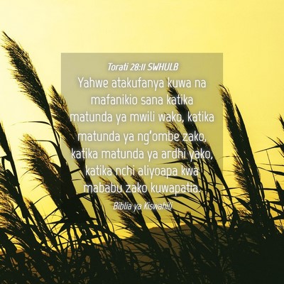Picture 04 - Torati 28:11 SWHULB - Yahwe atakufanya kuwa na mafanikio sana katika - Bible Verse Picture