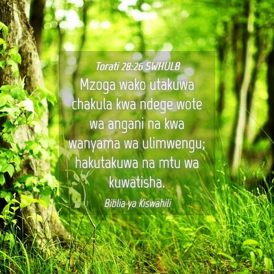 Picture 04 - Torati 28:26 SWHULB - Mzoga wako utakuwa chakula kwa ndege wote wa - Bible Verse Picture