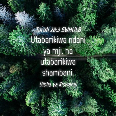 Picture 04 - Torati 28:3 SWHULB - Utabarikiwa ndani ya mji, na utabarikiwa - Bible Verse Picture