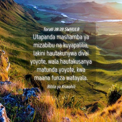 Picture 04 - Torati 28:39 SWHULB - Utapanda mashamba ya mizabibu na kuyapalilia, - Bible Verse Picture