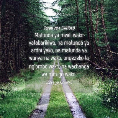 Picture 04 - Torati 28:4 SWHULB - Matunda ya mwili wako yatabarikiwa, na matunda ya - Bible Verse Picture